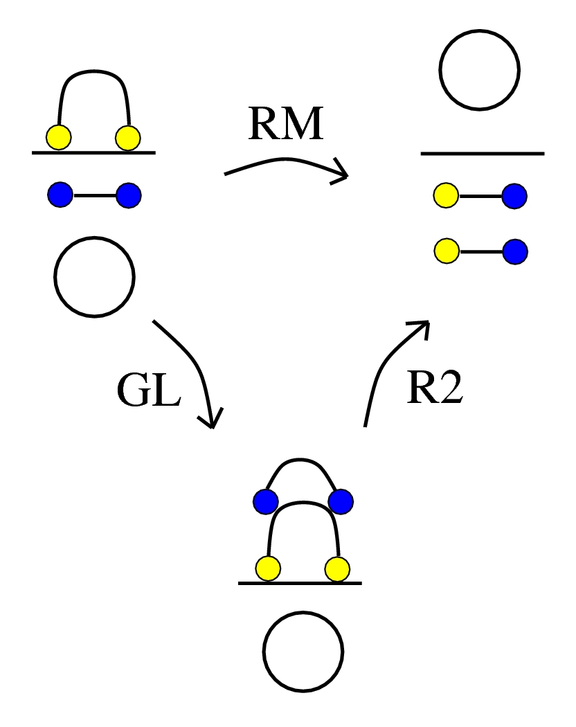 SH2 v2, rewrite RM derived