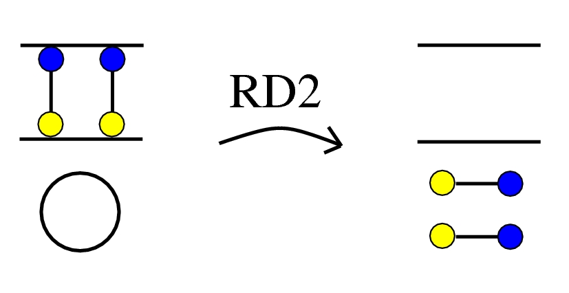 X v1, rewrite RD2