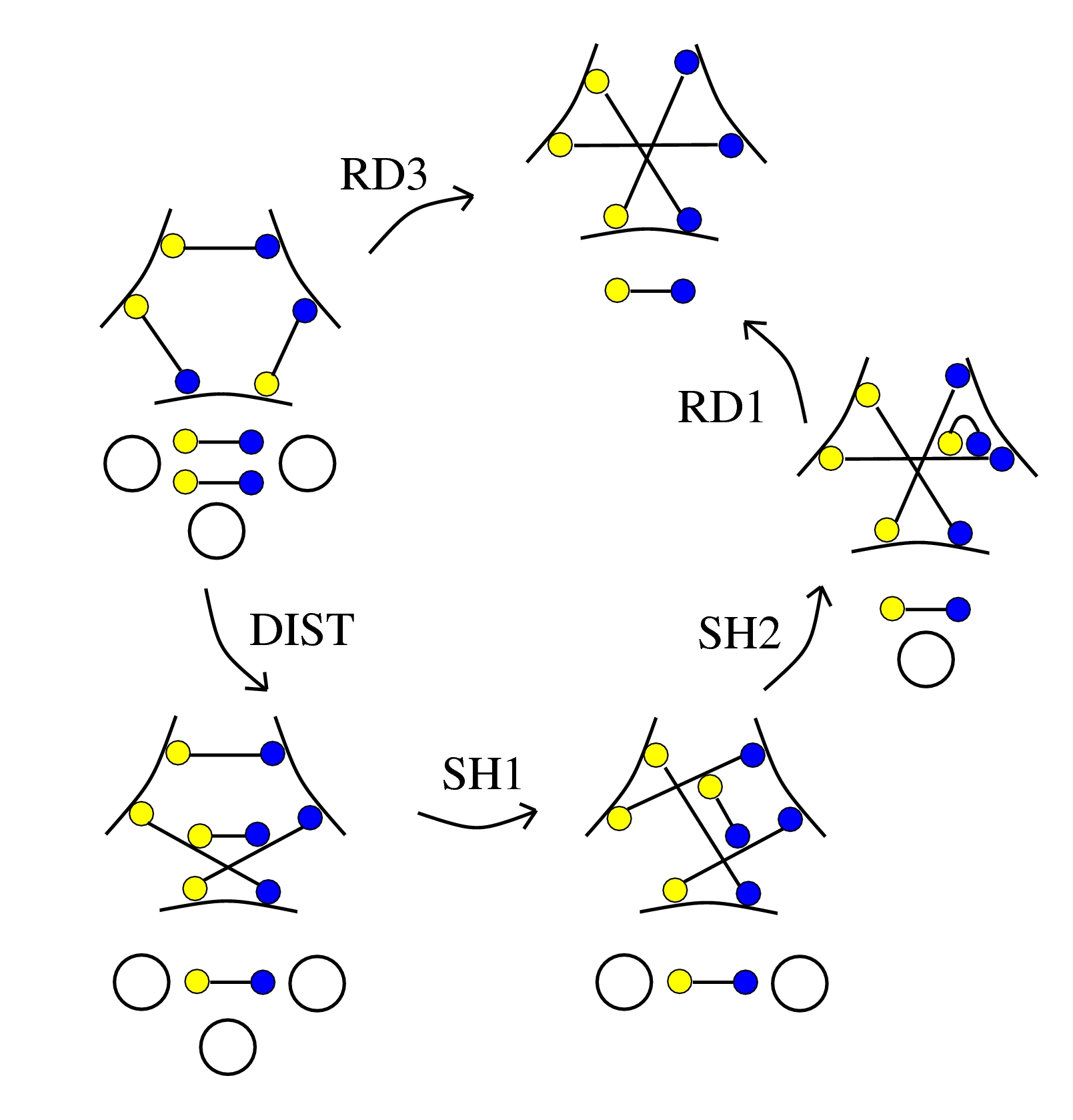 X v1, a Reidemeister 3 derived