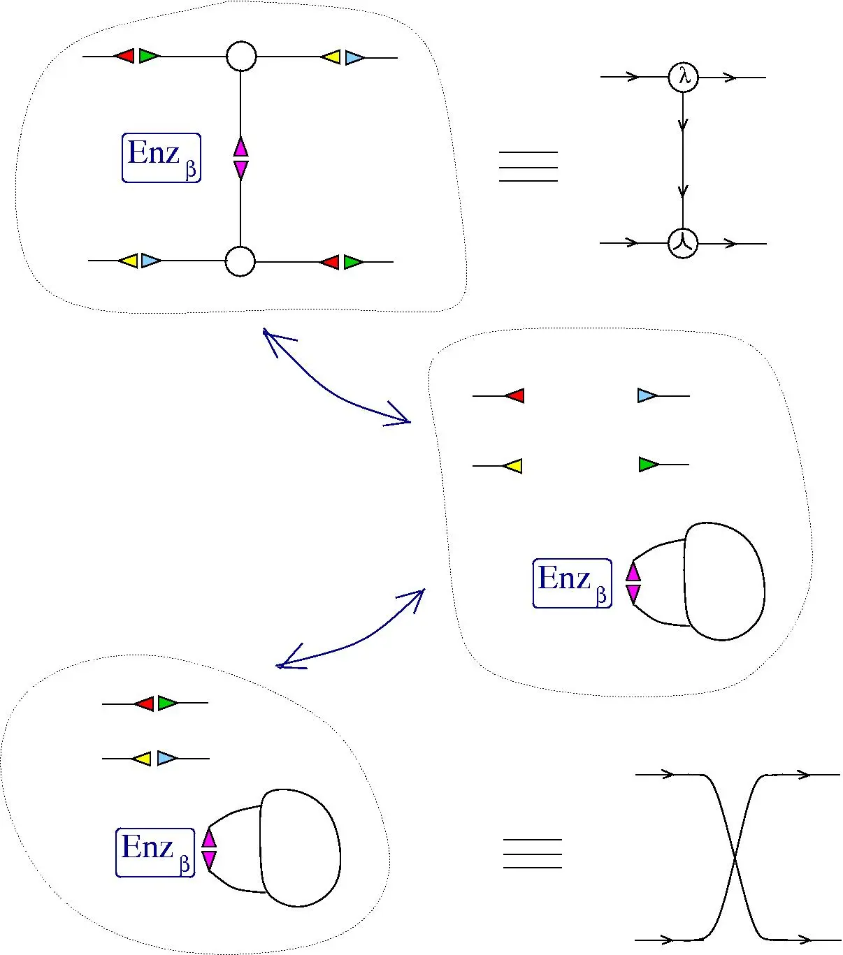 Enzyme-rewrite