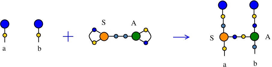 Synthesis SA rewrite