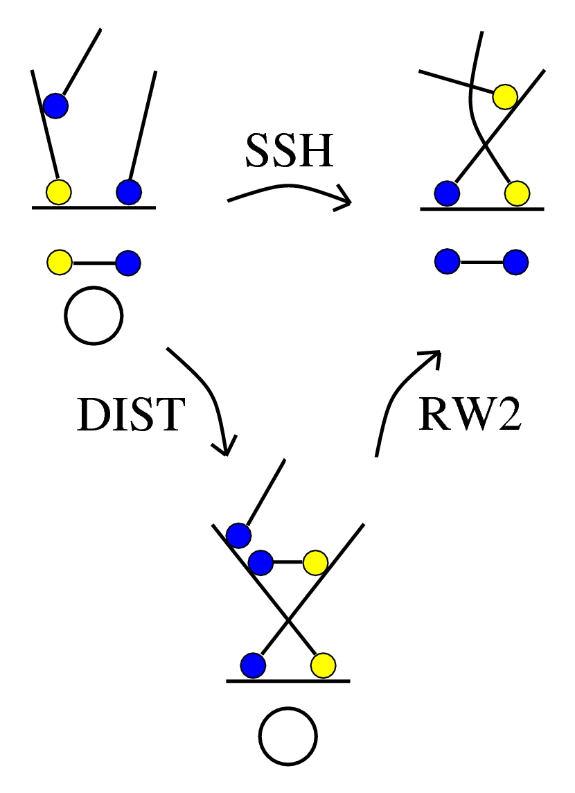SH2 v2, rewrite DIST derived