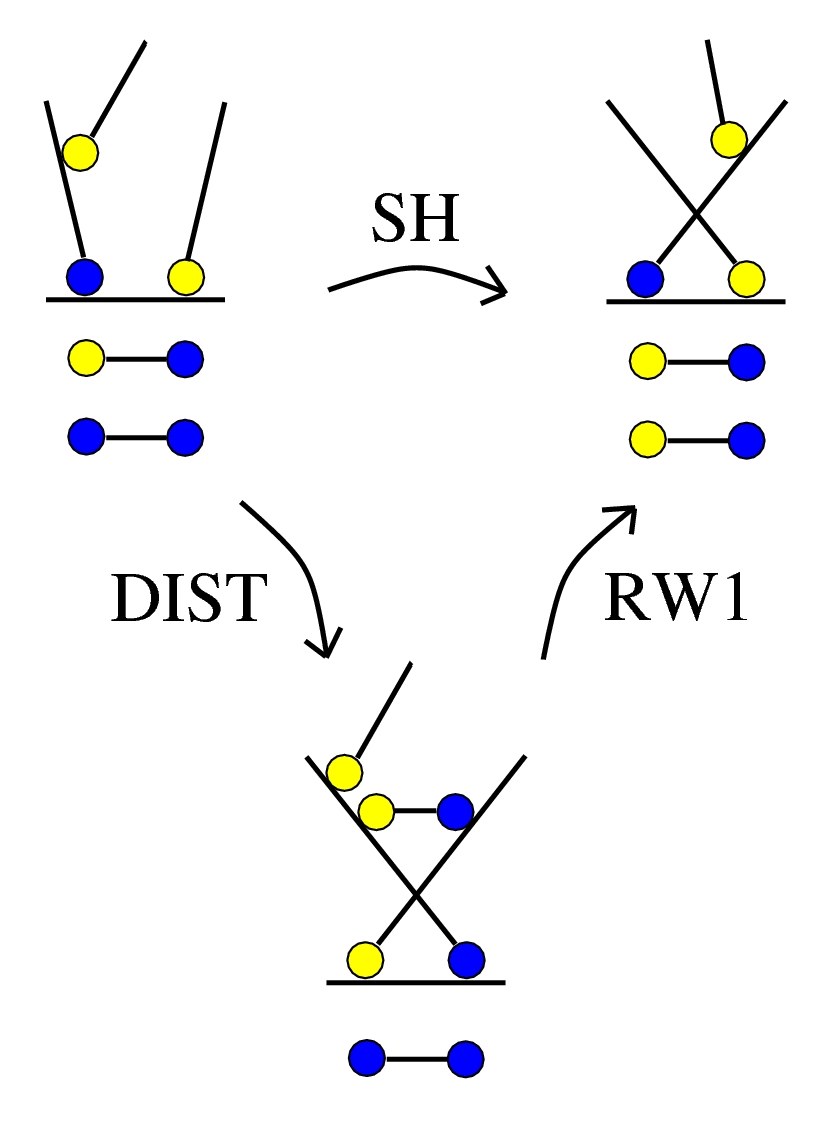 SH2 v2, rewrite DIST derived